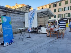 Illustration de la galerie