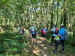 Illustration de la galerie