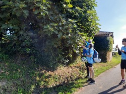 Illustration de la galerie