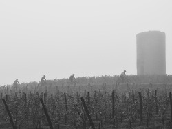 Illustration de la galerie