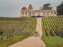 Illustration de la galerie