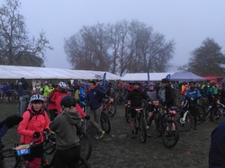 Illustration de la galerie