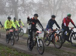 Illustration de la galerie