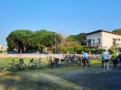 Illustration de la galerie