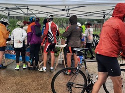 Illustration de la galerie