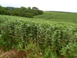 Illustration de la galerie