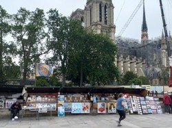 Illustration de la galerie