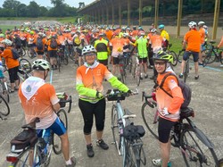 Illustration de la galerie