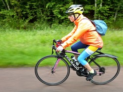 Illustration de la galerie