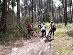 Illustration de la galerie