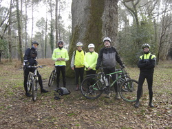 Illustration de la galerie