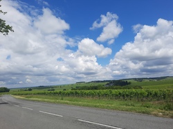 Illustration de la galerie