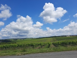 Illustration de la galerie