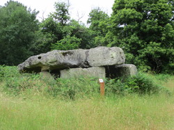 Illustration de la galerie