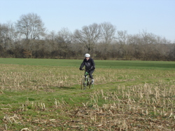 Illustration de la galerie